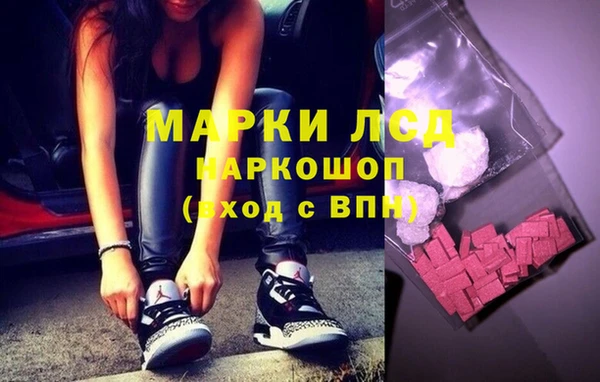 спайс Осинники